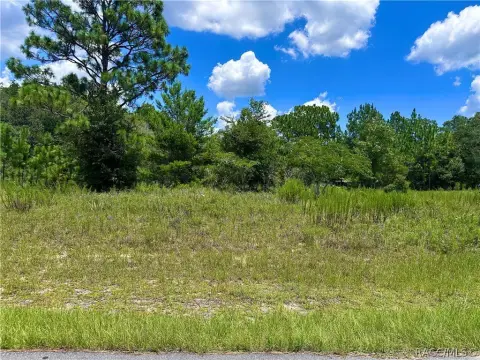 Buildable Homesite with Trail Access
