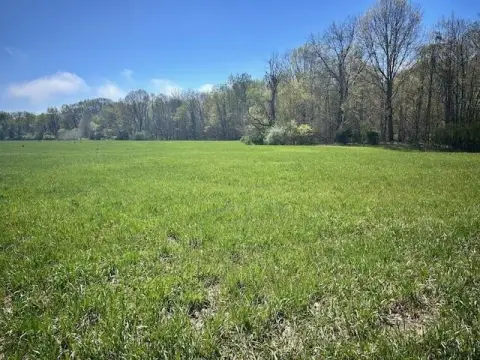 Land with Ravine Views