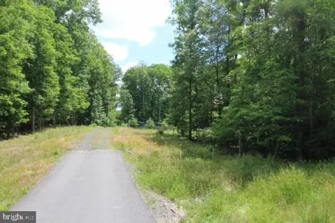 Wooded Estate Hunting Land Homesite