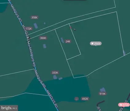 Premium Horse Land in Virginia