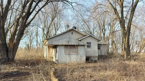 Ellington Twp Wooded Land
