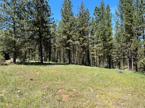 MeadowCreek Golf Resort Land
