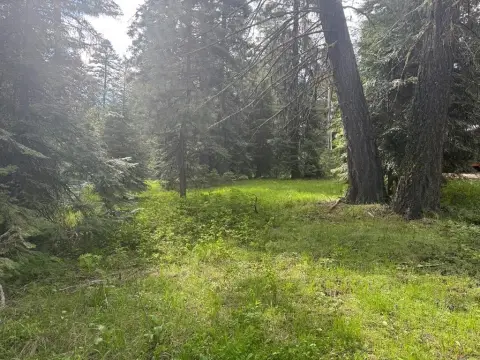 Royal Scot Land Near Tamarack