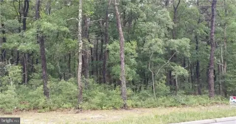 Residential Vacant Lot For Sale