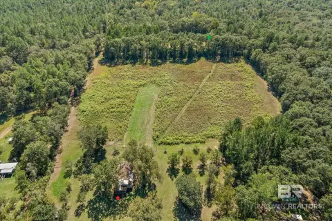 Hunting Land with Camp House