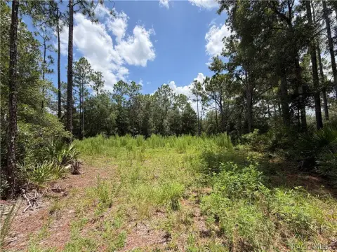 Residential Buildable Lot with No HOA