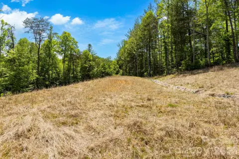 Asheville Homesite in Gated Community