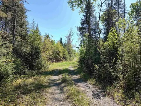 74 Acres Vacant Land