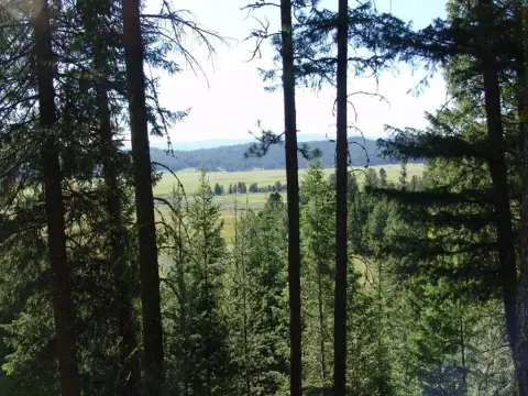 Mountain Building Lot in Eagle Nest