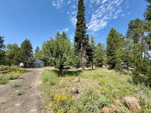 Wooded Lots Near Cascade Lake