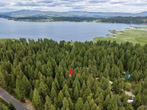 Cascade Treed Land Near Lake