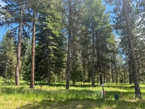 Residential Land in McCall, ID