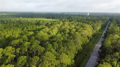 Townsend, GA Raw Acreage