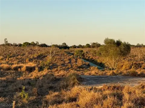 Agricultural Land Ready for New Life