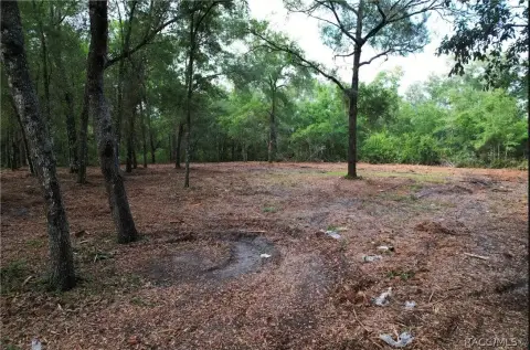 Cleared Mobile-Home Lot on Paved Road