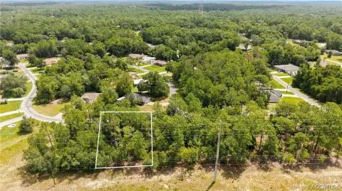 Wooded Residential Homesite