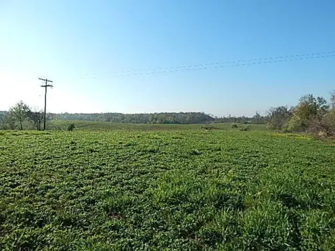 Recreational Hunting Land with Pond