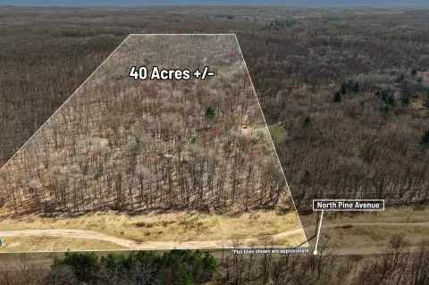 Wooded Land Near National Forest