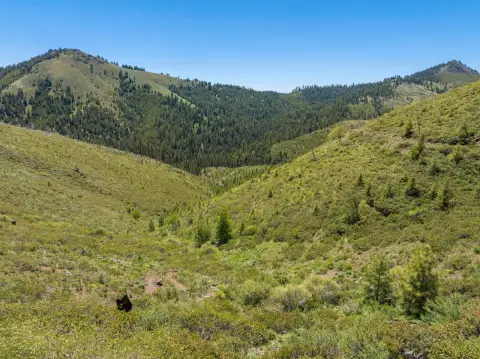 Recreational Hunting Land with Springs