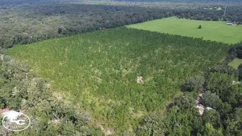 Agricultural Land with Dual Access