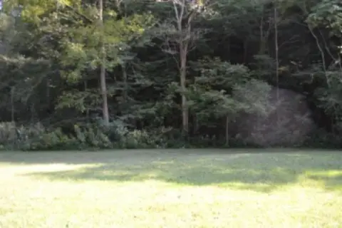 Wooded Recreation Land