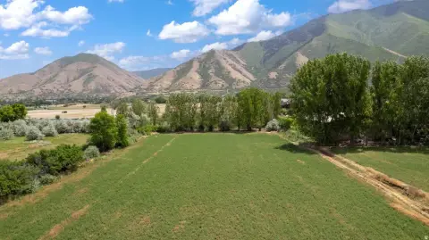 Agricultural Land Parcel