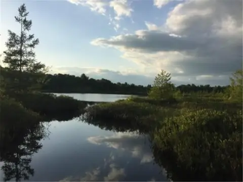 Heavily Wooded Land with Pond