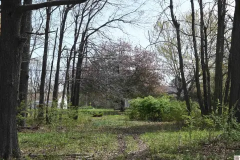 Residential Lot in Fairview Estates