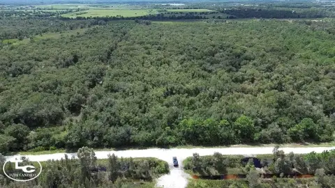 Wooded Hunting Land