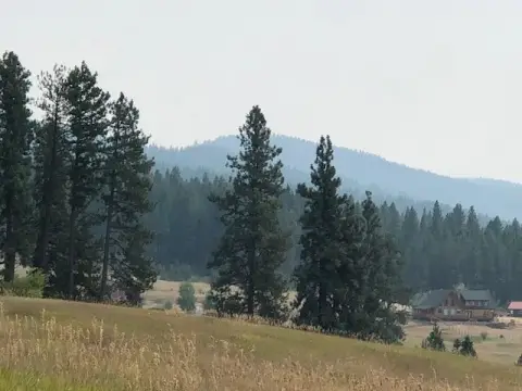 Timbered Mountain Retreat Lot