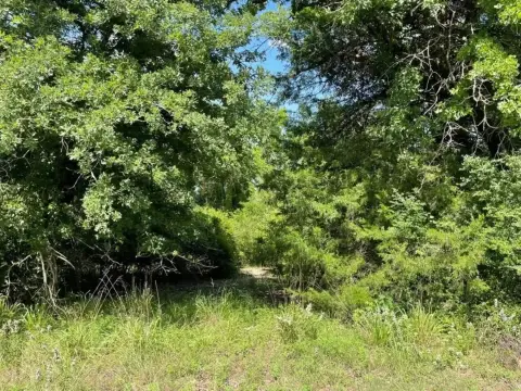 Lake Limestone Wooded Lot