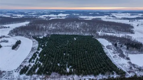 Barron County Land with Spruce
