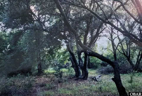 Corolla Residential Lots Opportunity