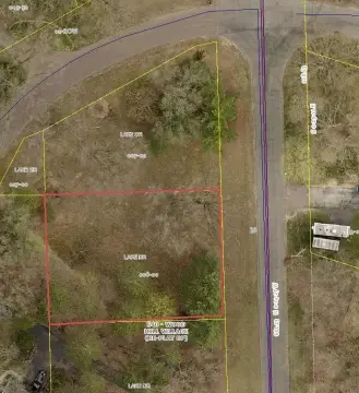 Residential Land in Allegan, MI