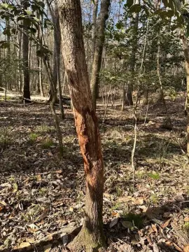 30.7 Acres in Redland Community