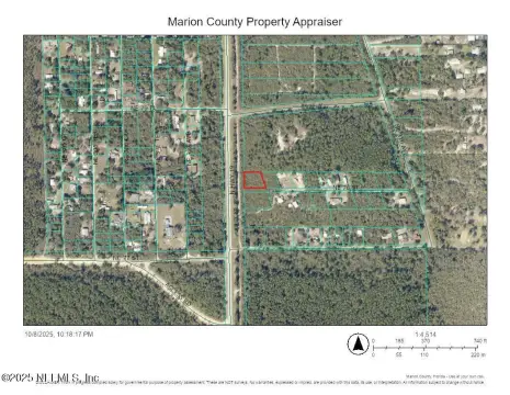 Wooded Lot Near Ocala Forest