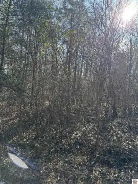 Land Near Crappie Hollow