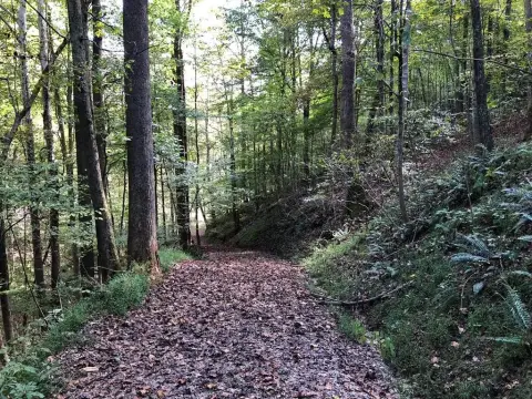 Residential Acreage with Farm Land