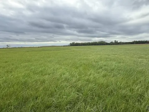 Hay Meadow Farmland
