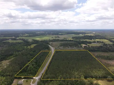 Alachua County Land with Pines