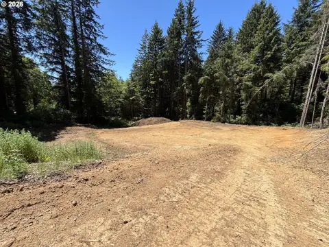 Secluded Build-Ready Home Lot