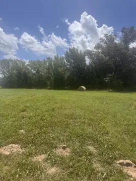 Residential Land Tract with Homesites