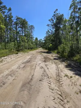 Triple Lot in Wooded Area