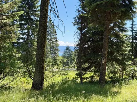 Recreation Land with Lake View