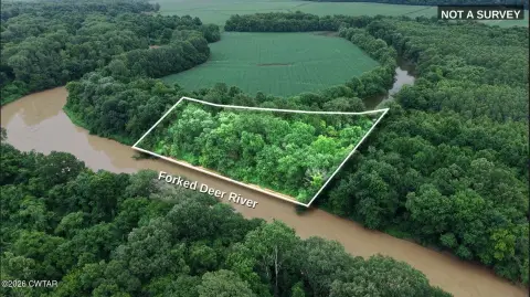 Waterfront Hunting Land