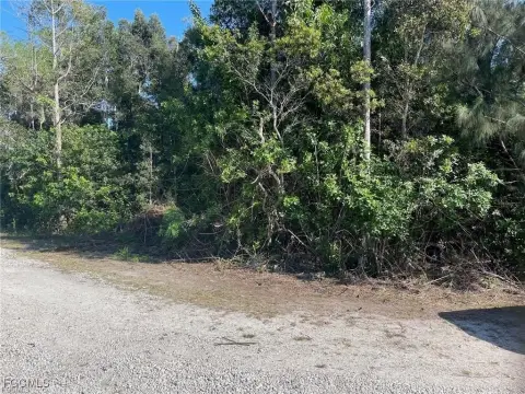 Oversized Homesite in Central Fort Myers