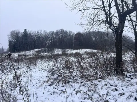67 Acres of Hunting Land