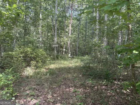 Wooded Hunting Land