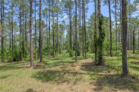 EUSTIS, FL Acreage Homesite
