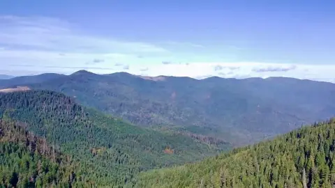 Secluded Acreage Surrounded by Forest